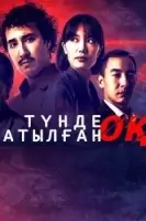 Выстрел ночью смотреть онлайн сериал 1 сезон