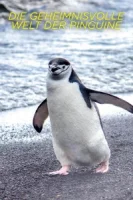 Тайны пингвинов смотреть онлайн сериал 1 сезон